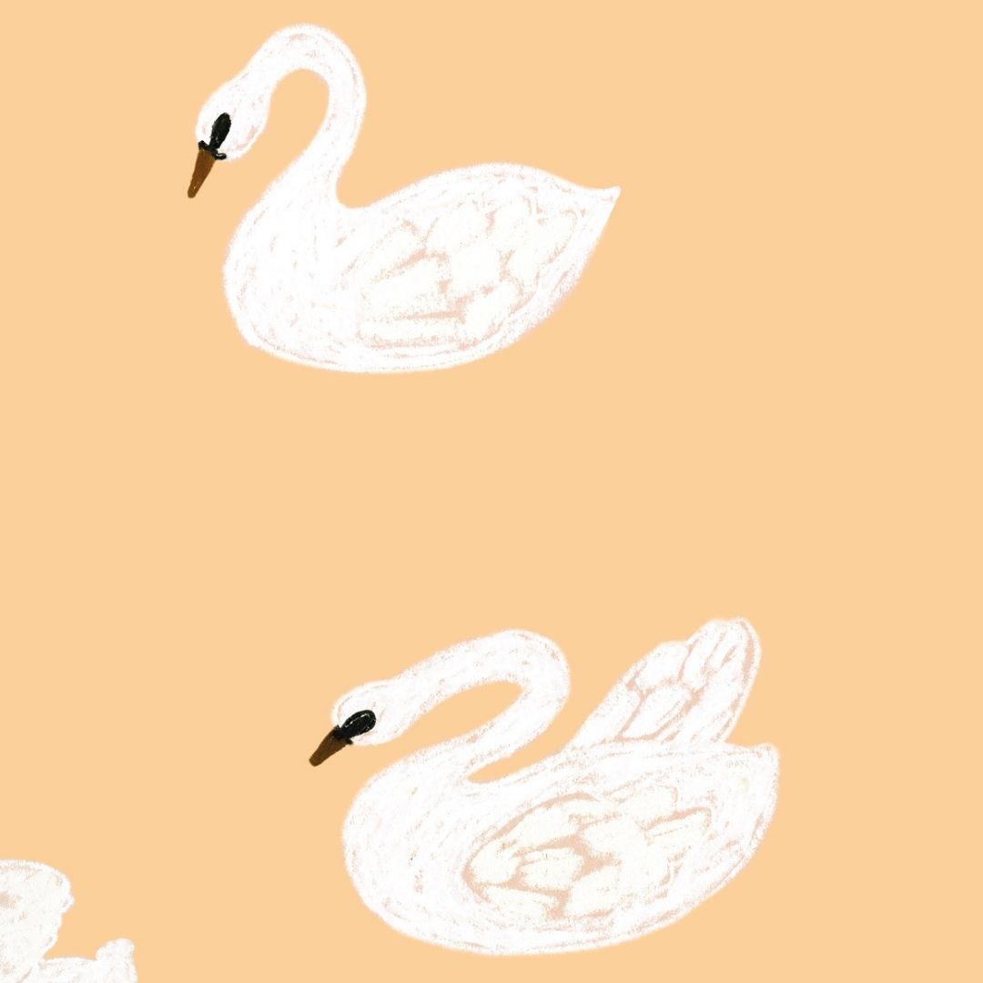 Behangstaal Meet me at the Wall - Swans - Buttercup - Joëlle Wehkamp